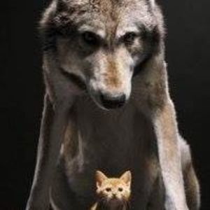 Meet your Posher, Dave